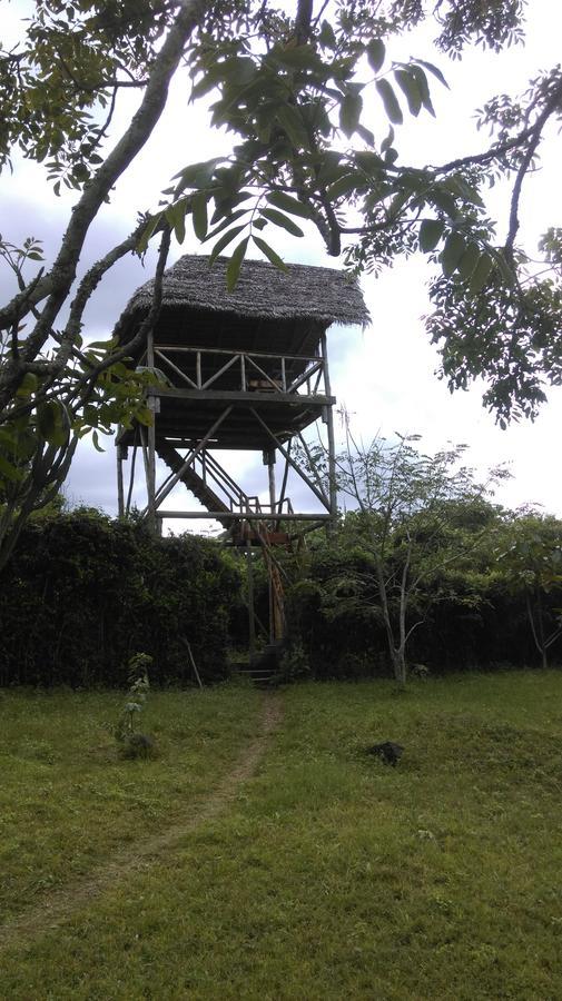 Meru Mbega Lodge Usa River Exterior photo