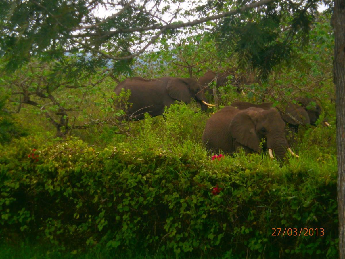 Meru Mbega Lodge Usa River Exterior photo