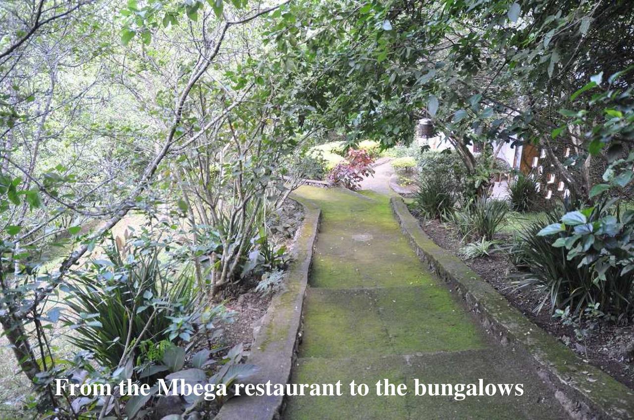 Meru Mbega Lodge Usa River Exterior photo